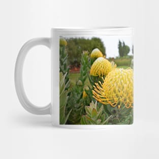 Lavender Farms Study 36 Mug